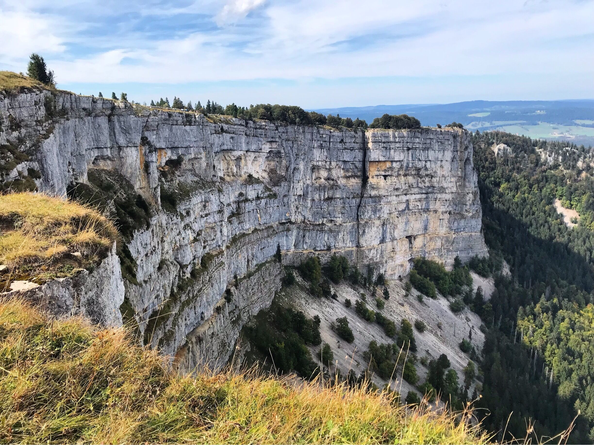 A rugged cliff with a steep drop, surrounded by dense forest and a distant view of rolling hills.