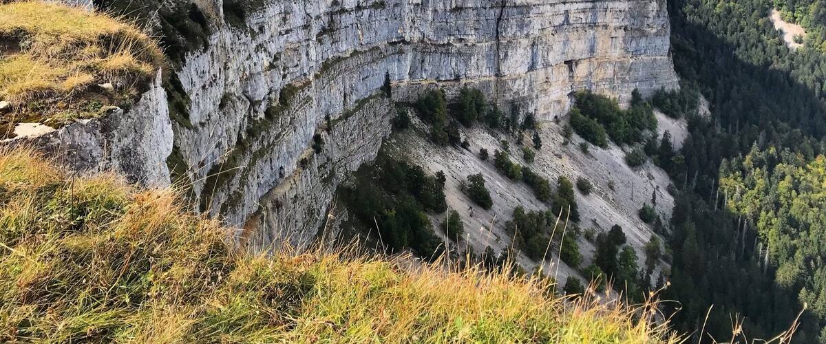 A rugged cliff with a steep drop, surrounded by dense forest and a distant view of rolling hills.