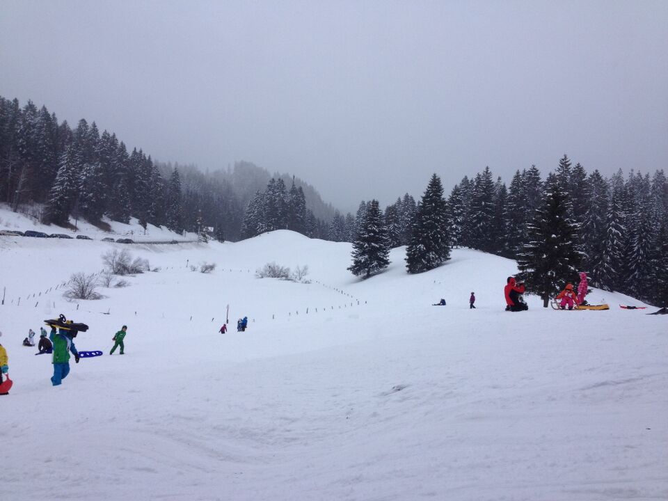 A trip to Switzerland wouldn't be complete without a day in the mountains. Even for those who aren't coordinated enough to ski (myself included), take a train and sled in the alps. 

It's a real winter wonderland up there! 