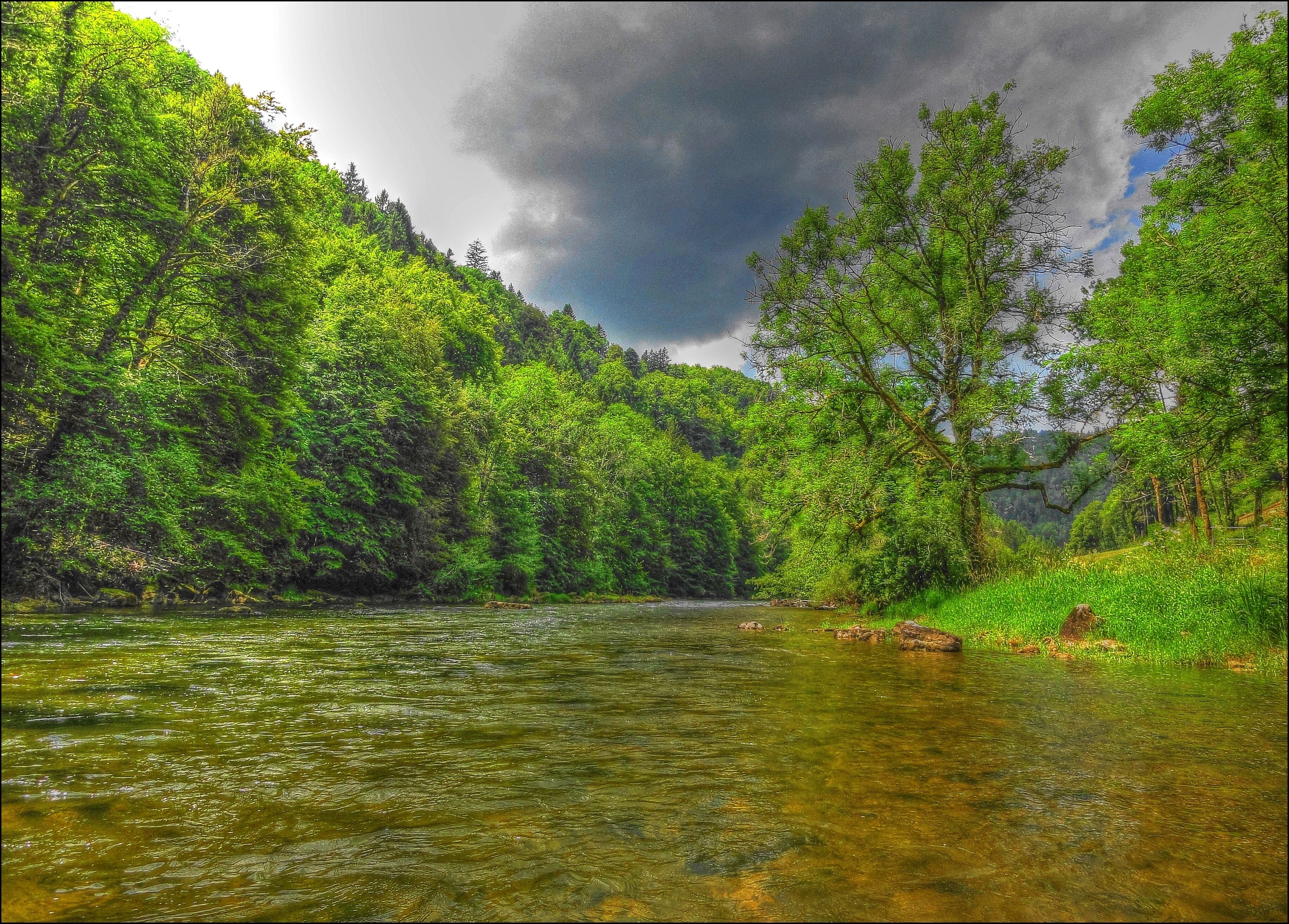 A river flowing through a densely forested area with a cloudy sky above.