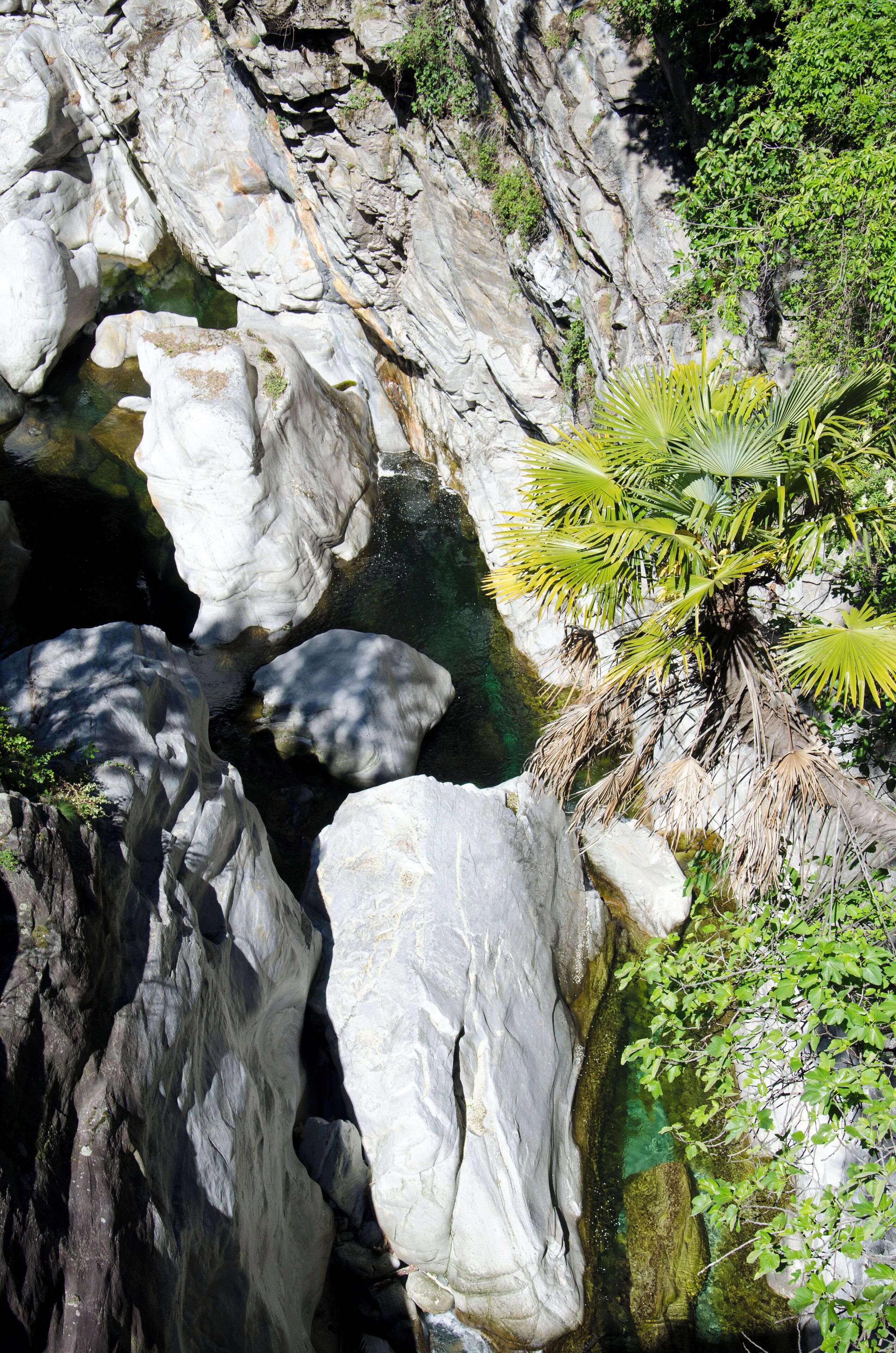 Progetto Parco Nazionale del Locarnese - Ponte Brolla