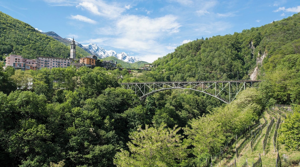 Progetto Parco Nazionale del Locarnese - Intragna