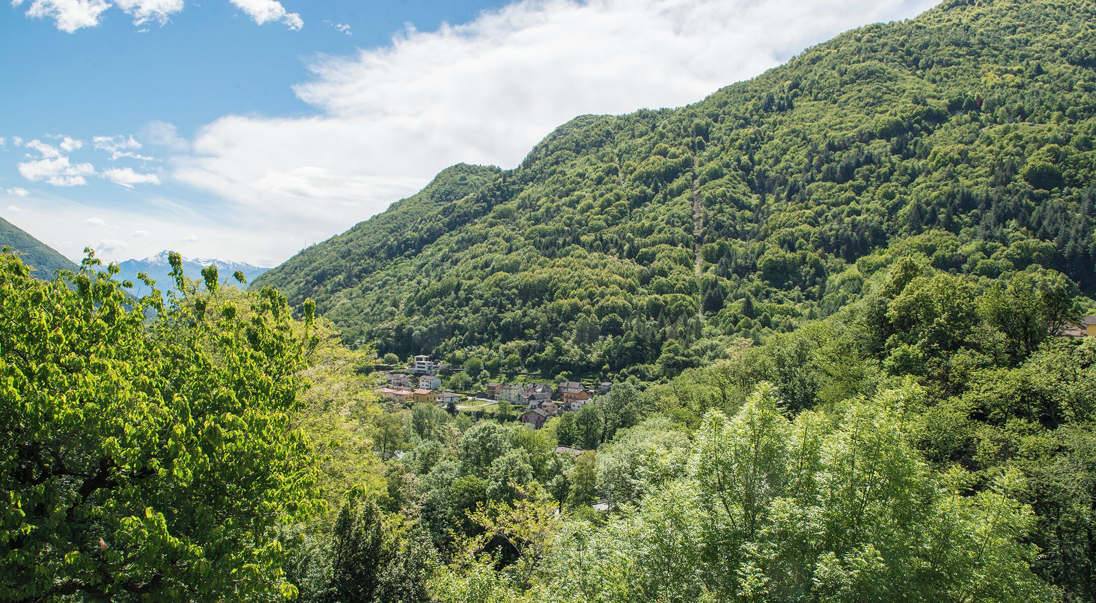 Progetto Parco Nazionale del Locarnese - Intragna
