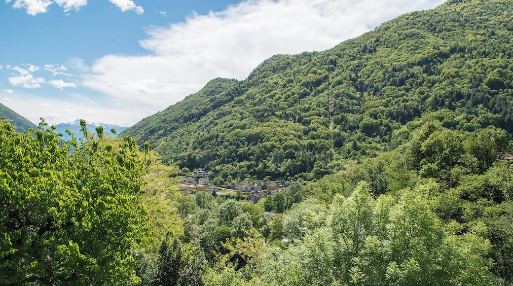 Progetto Parco Nazionale del Locarnese - Intragna
