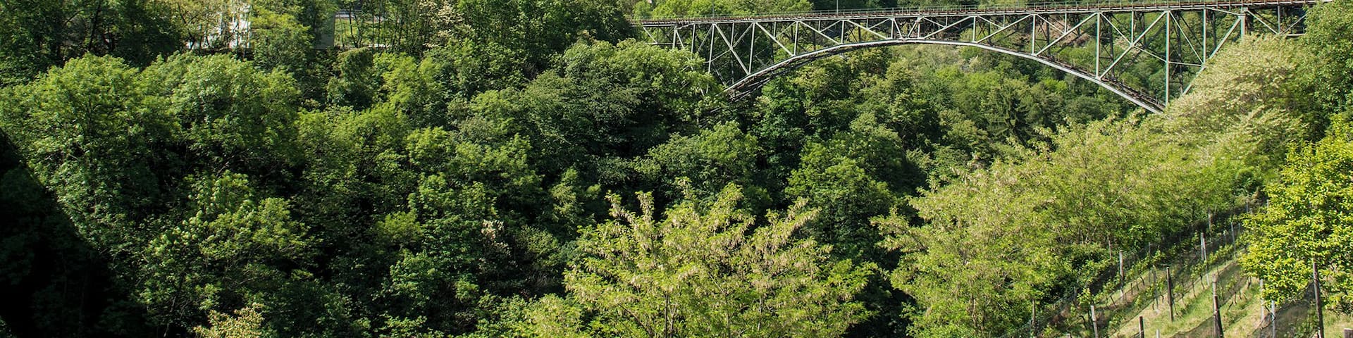 Progetto Parco Nazionale del Locarnese - Intragna