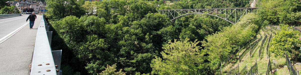 Progetto Parco Nazionale del Locarnese - Intragna