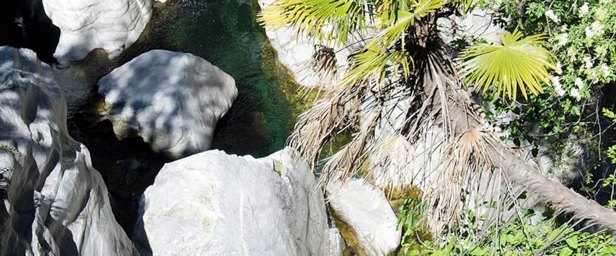 Progetto Parco Nazionale del Locarnese - Ponte Brolla