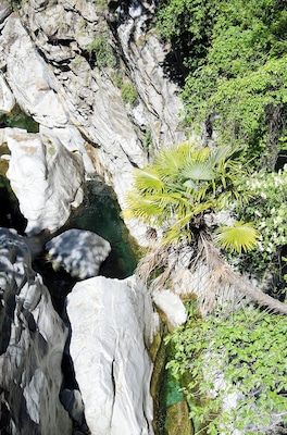 Progetto Parco Nazionale del Locarnese - Ponte Brolla
