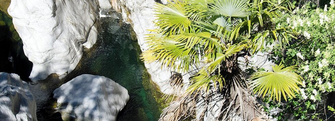 Progetto Parco Nazionale del Locarnese - Ponte Brolla