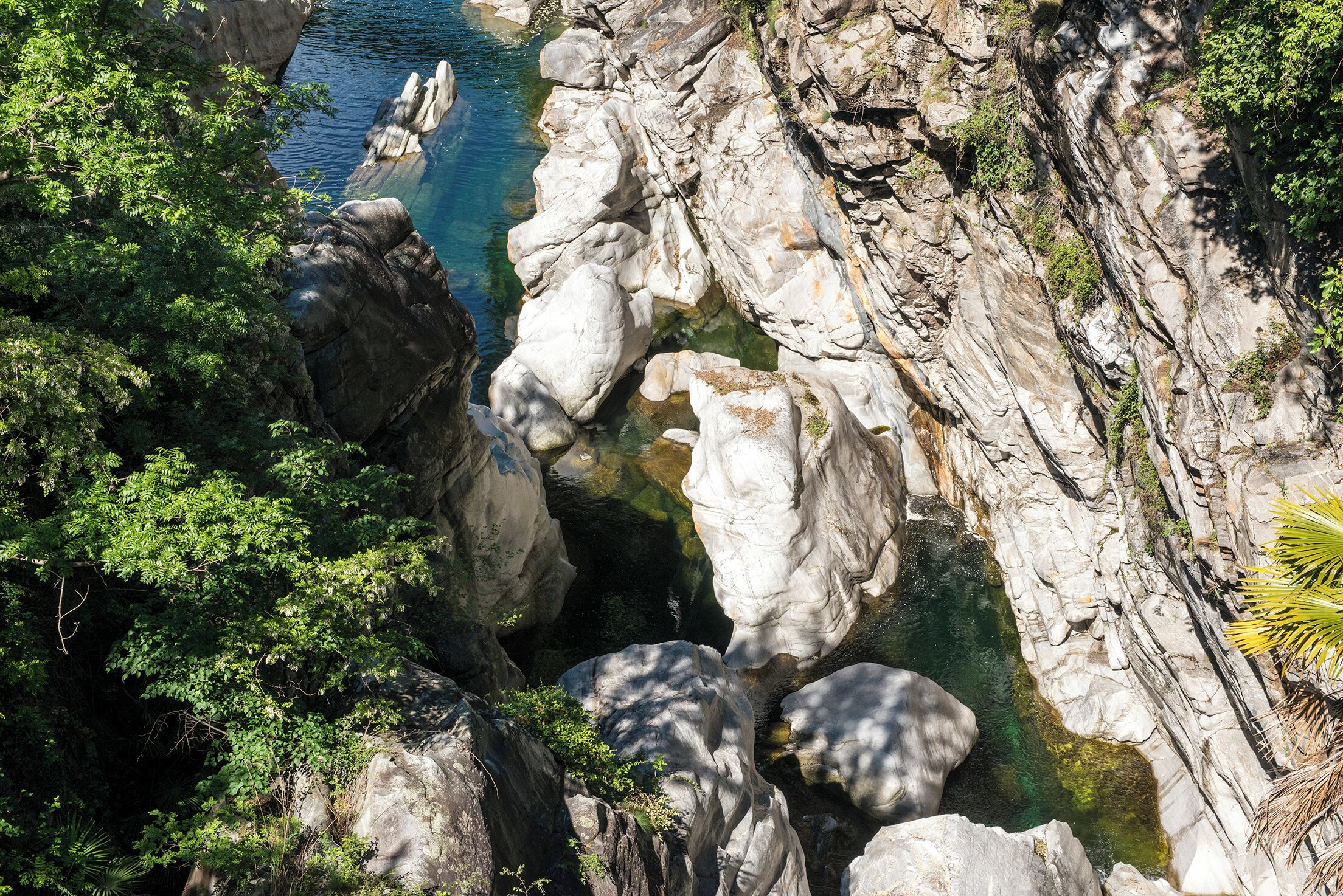 Progetto Parco Nazionale del Locarnese - Ponte Brolla