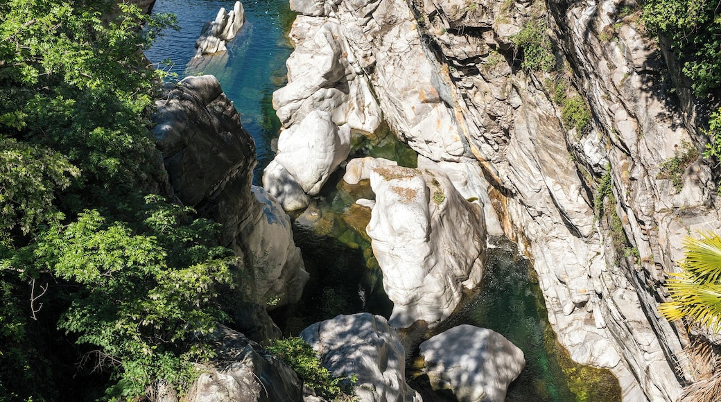 Progetto Parco Nazionale del Locarnese - Ponte Brolla