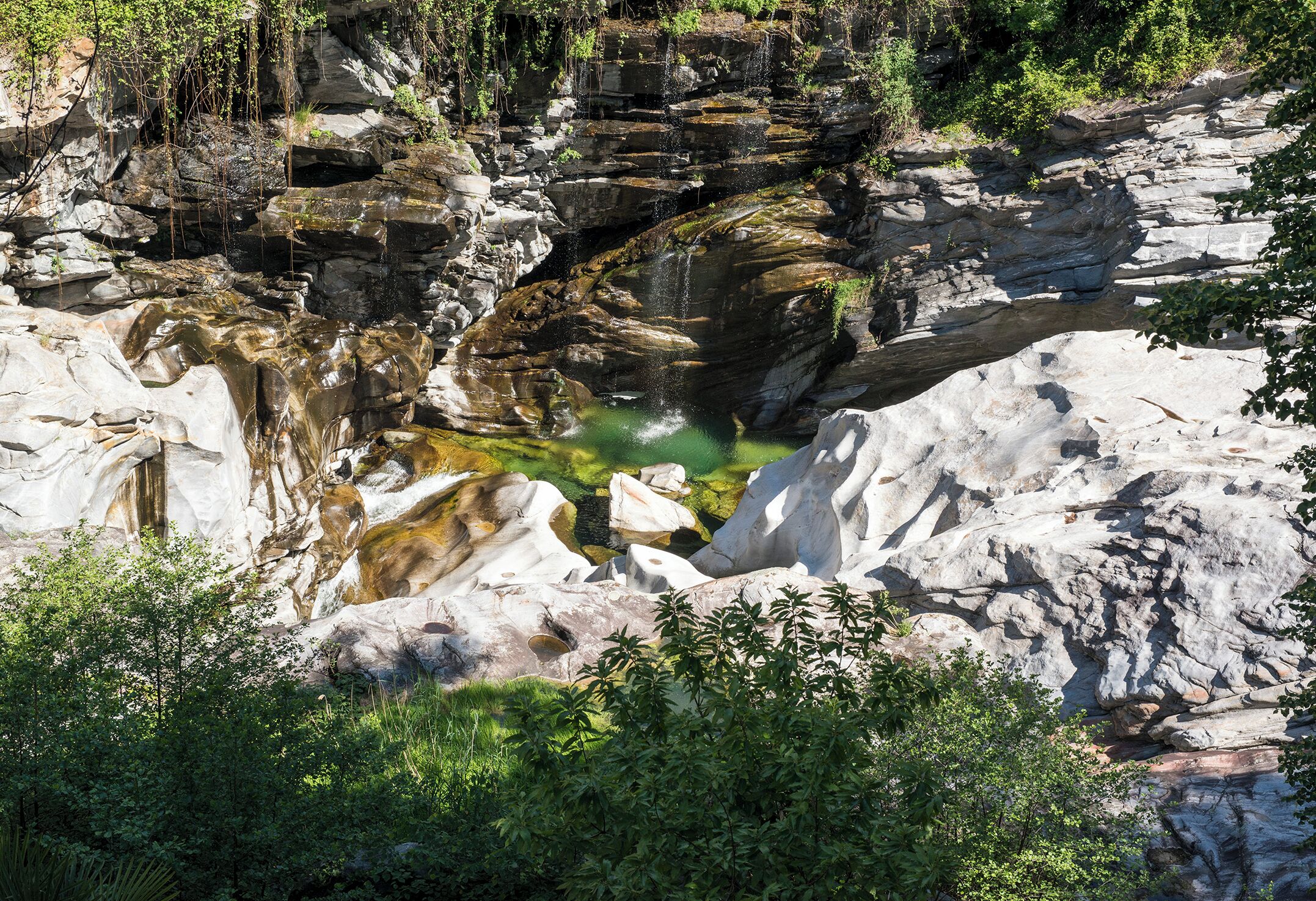 Progetto Parco Nazionale del Locarnese - Ponte Brolla
