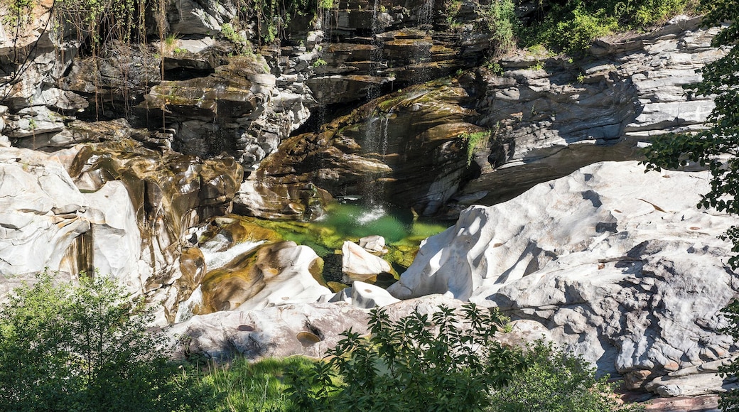 Progetto Parco Nazionale del Locarnese - Ponte Brolla