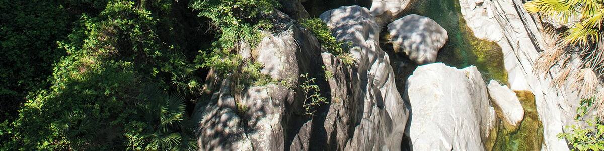 Progetto Parco Nazionale del Locarnese - Ponte Brolla