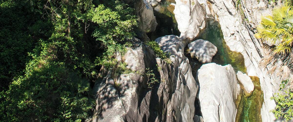 Progetto Parco Nazionale del Locarnese - Ponte Brolla