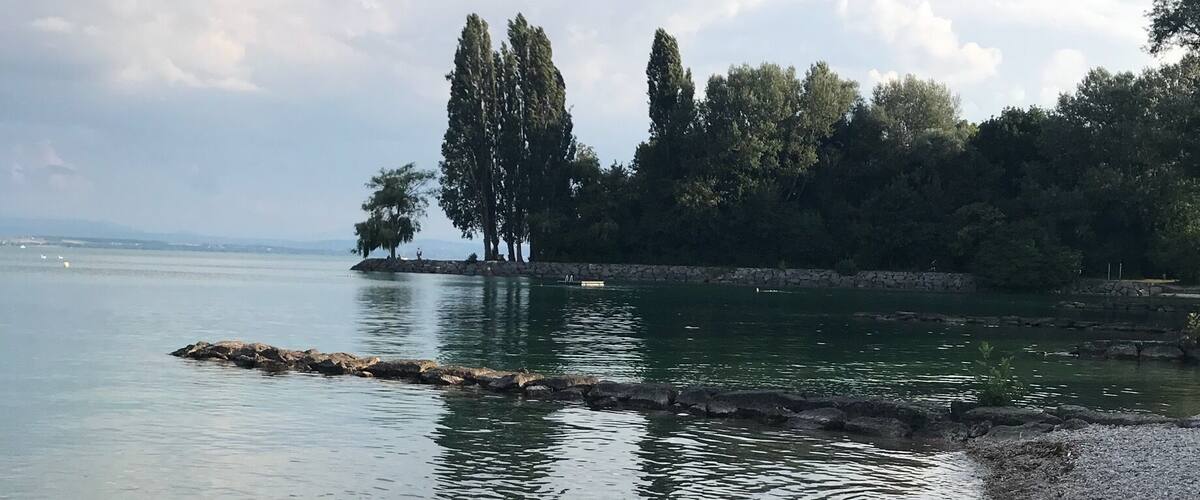 A pebble beach with calm water, trees, and a stone wall.