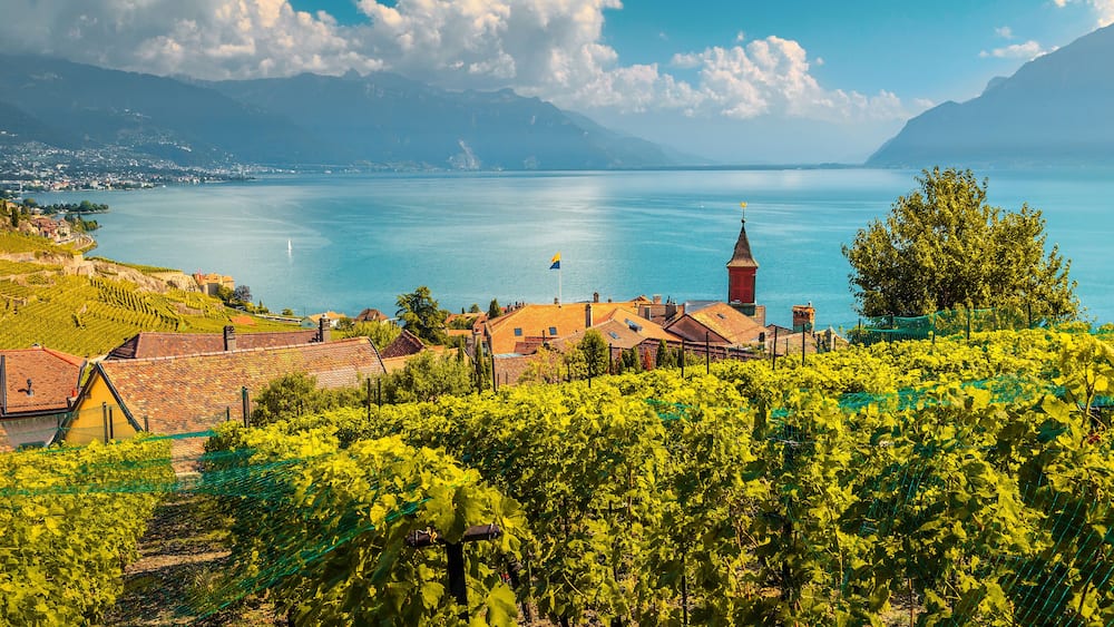 Beautiful vineyards in Lavaux region near Chexbres, Vaud, Switzerland