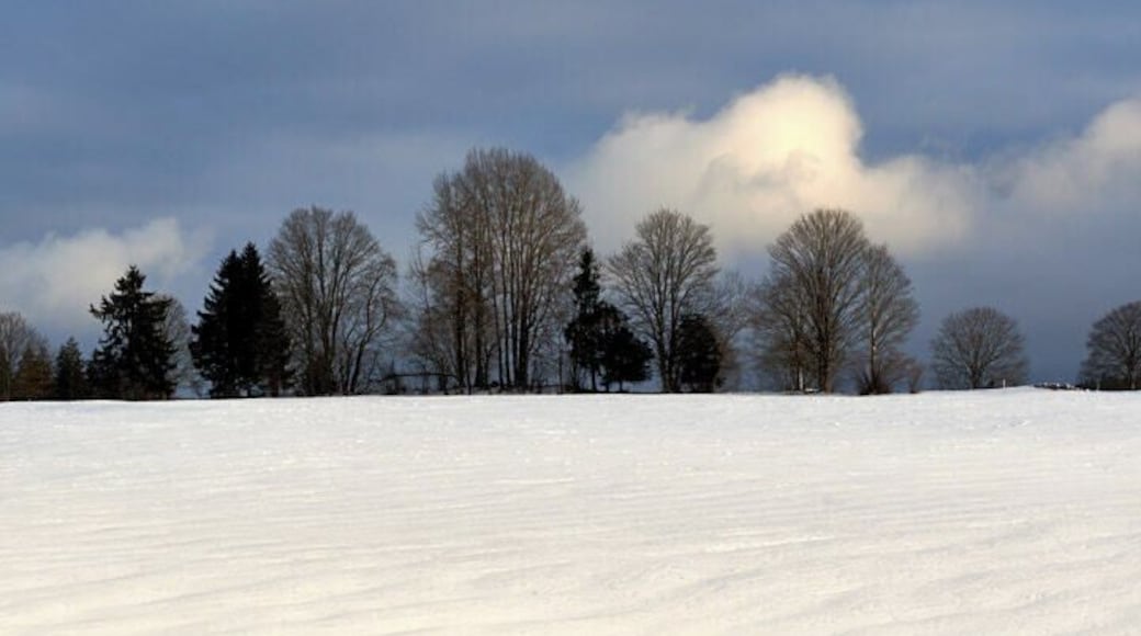La Chaux-des-Breuleux