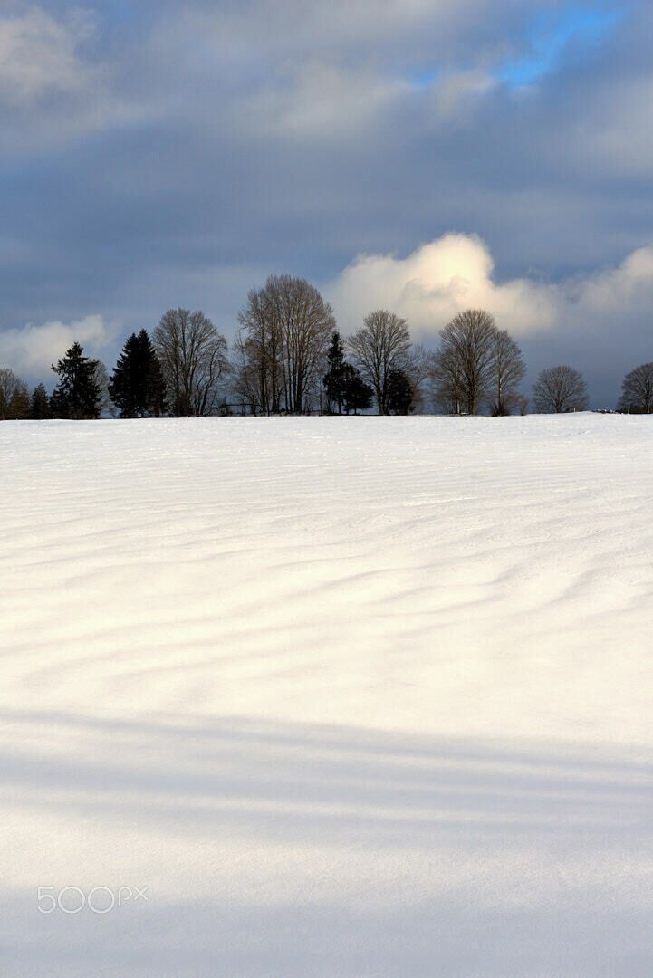 A snowy field with bare trees and a cloudy sky.