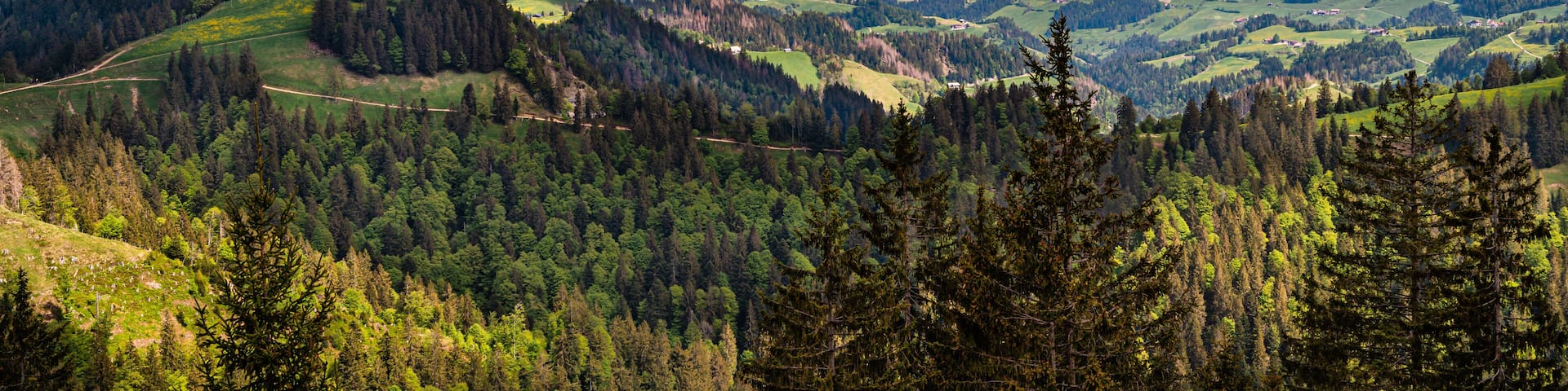 View from the peak Napf in the Emmental region of Switzerland