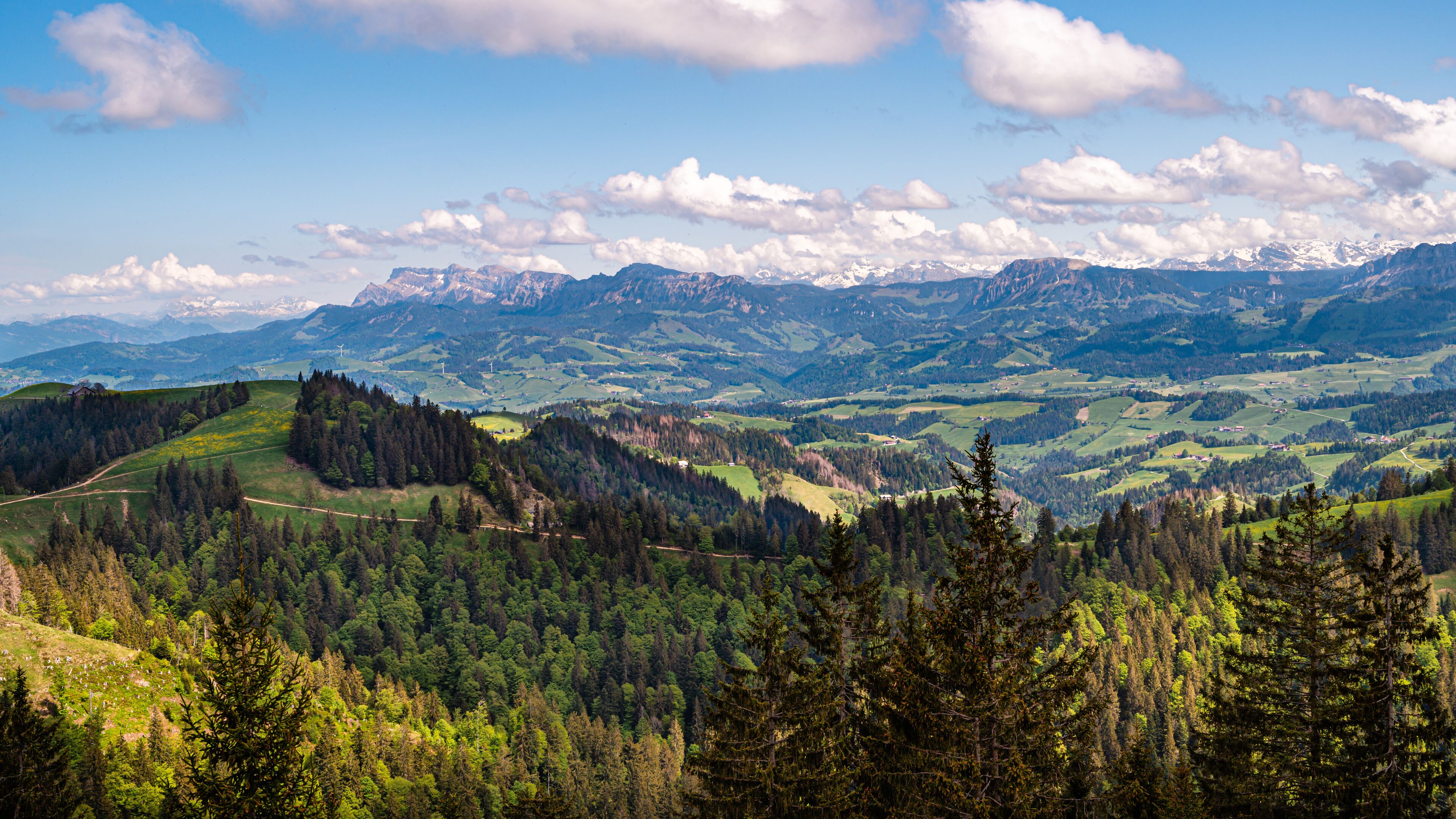 A mountainous landscape with a valley, forested areas, and distant snow-capped peaks.