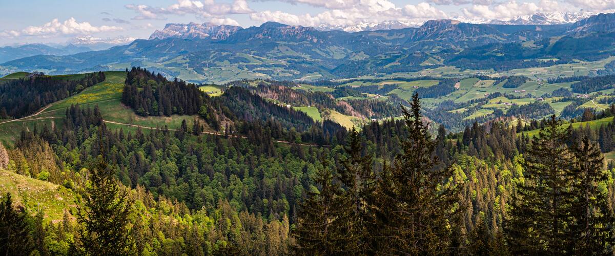 A mountainous landscape with a valley, forested areas, and distant snow-capped peaks.