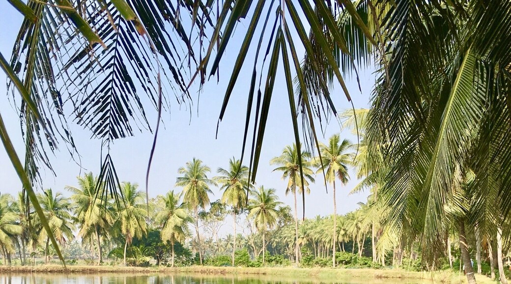 Walking by the pond on a lazy afternoon
#what's-hot #travel #scenic #trevor