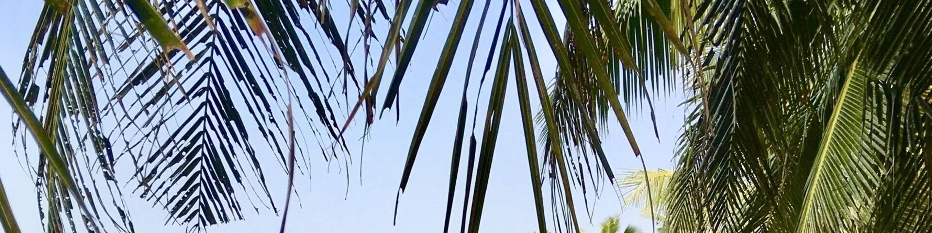 Walking by the pond on a lazy afternoon
#what's-hot #travel #scenic #trevor