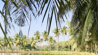 Walking by the pond on a lazy afternoon
#what's-hot #travel #scenic #trevor