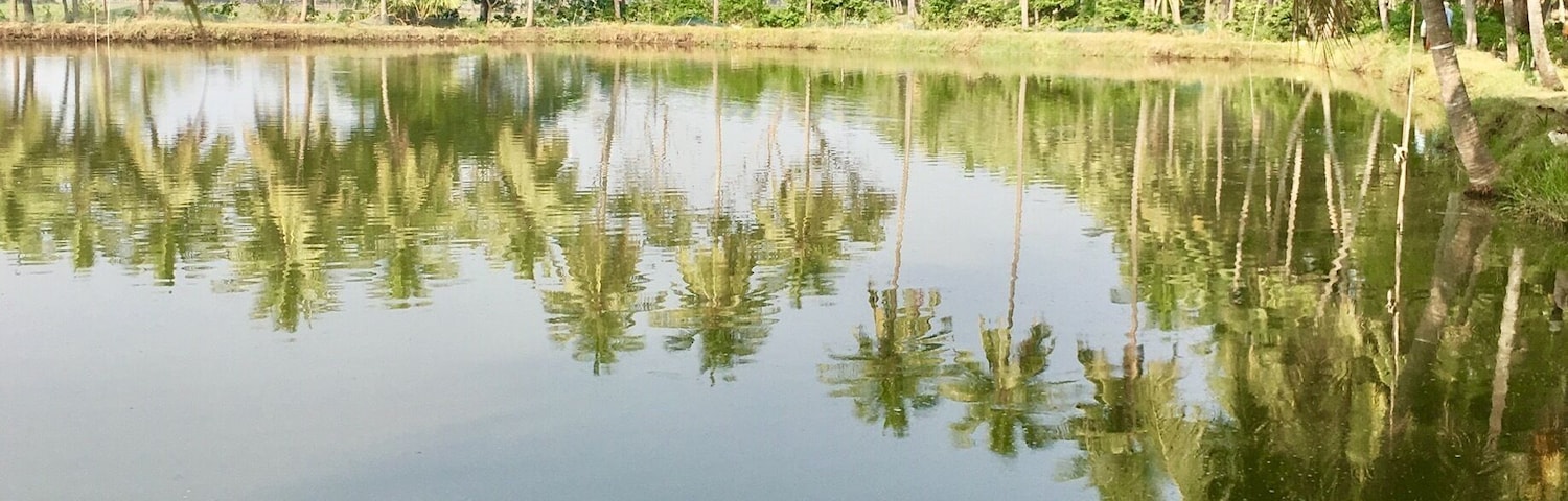 Walking by the pond on a lazy afternoon
#what's-hot #travel #scenic #trevor