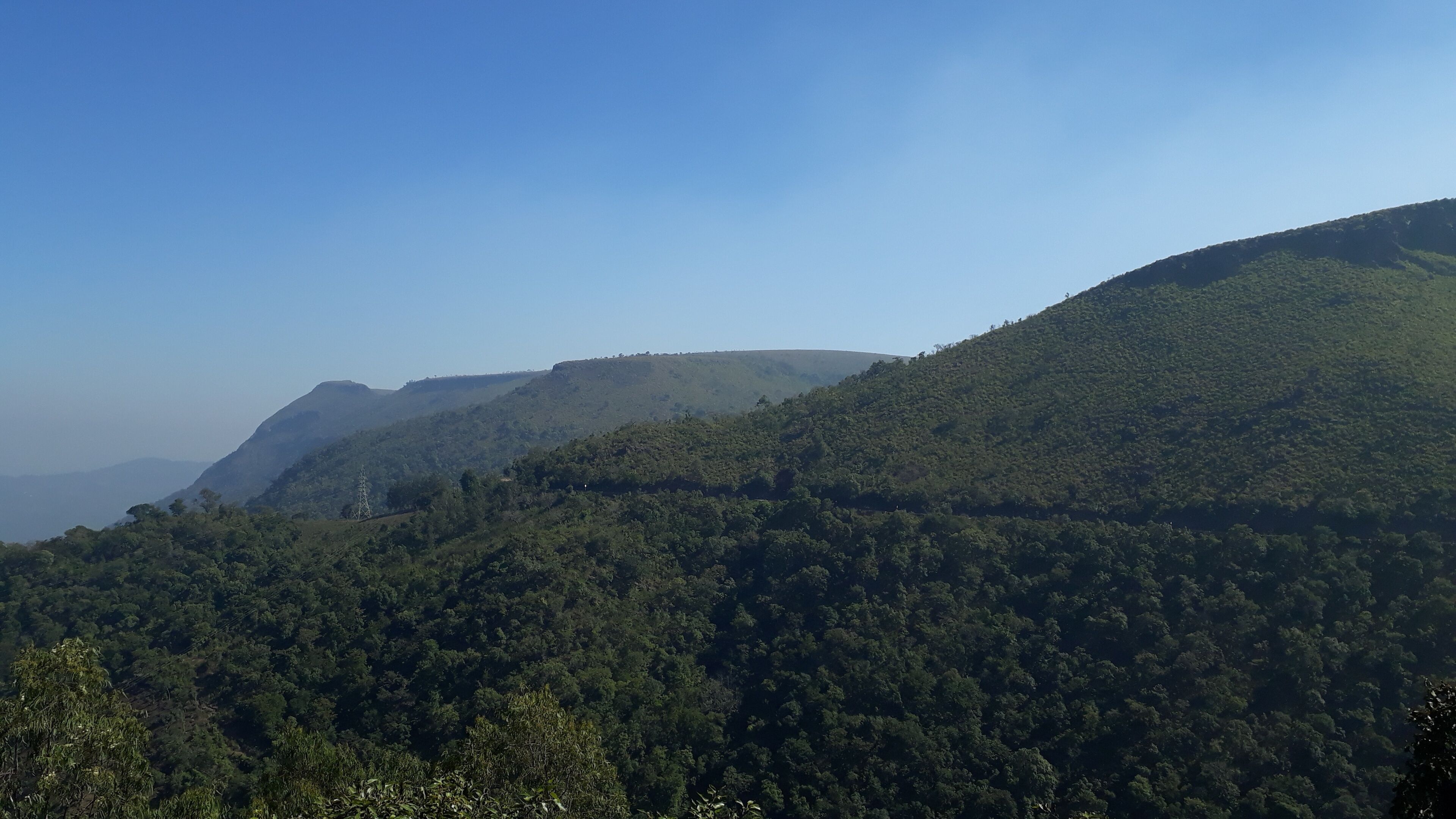 A mountainous landscape with dense forest coverage and a clear sky.