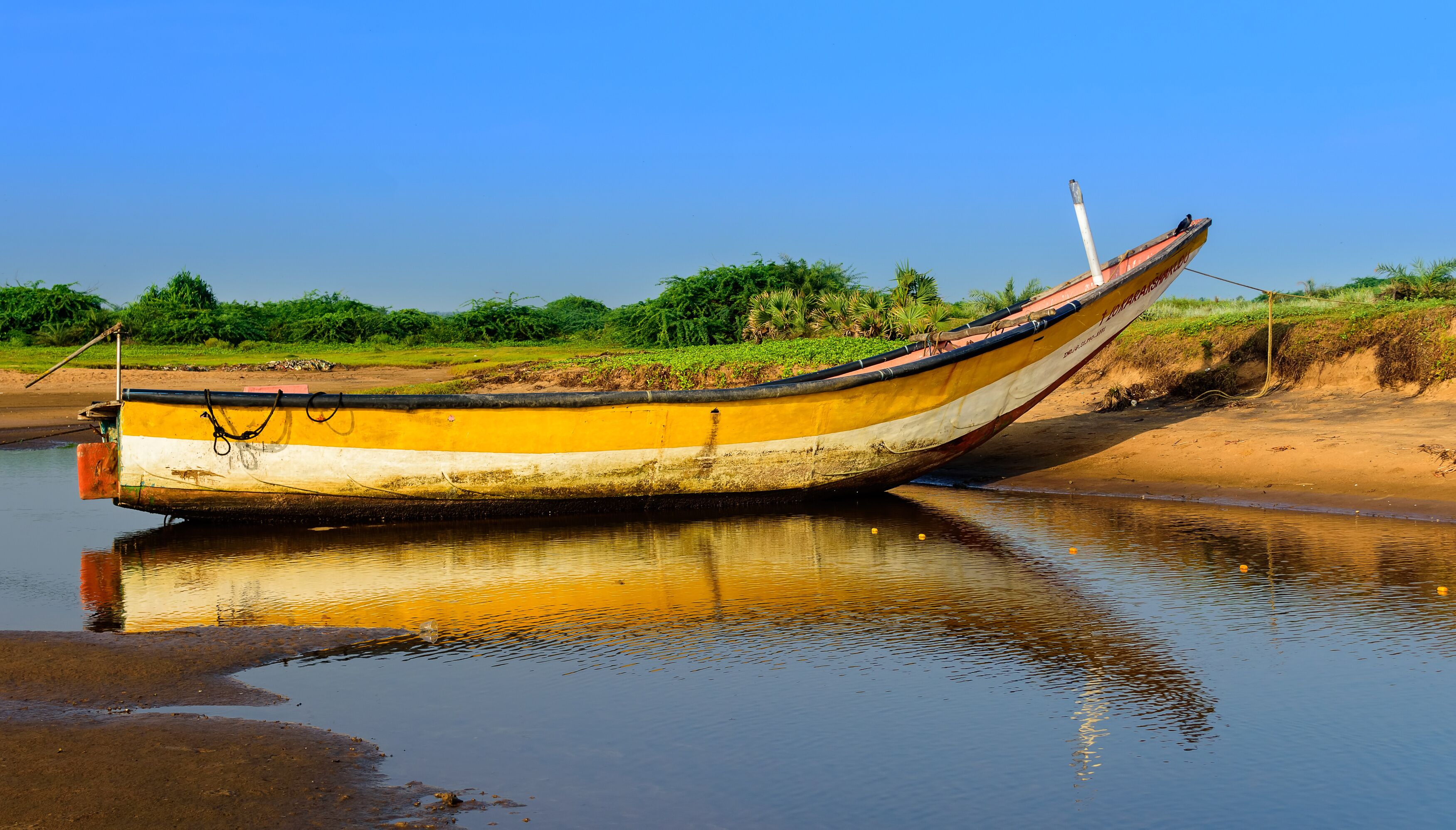 A yellow and white boat with a black stripe, moored at a sandy riverbank with greenery in the background.
