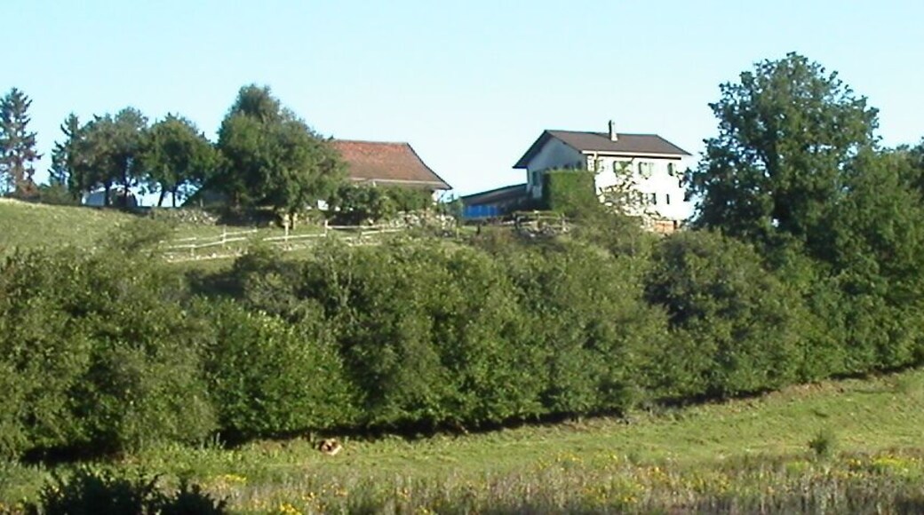 Froideville, village de la commune de Ballens, canton de Vaud, Suisse. Auteur : Marc Mongenet Date : 18 août 2006