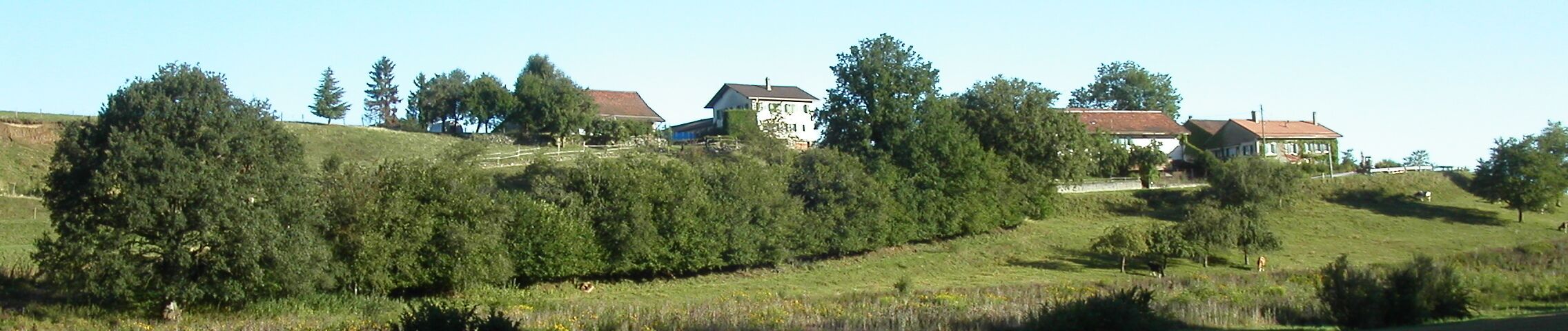 A rural landscape with rolling hills, scattered trees, and several houses with red roofs.