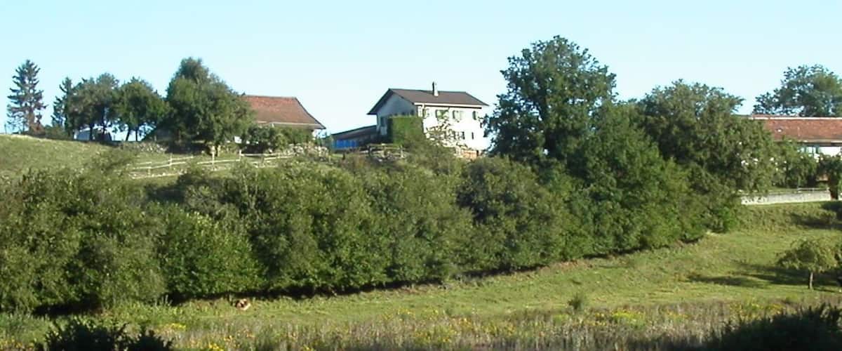 A rural landscape with rolling hills, scattered trees, and several houses with red roofs.