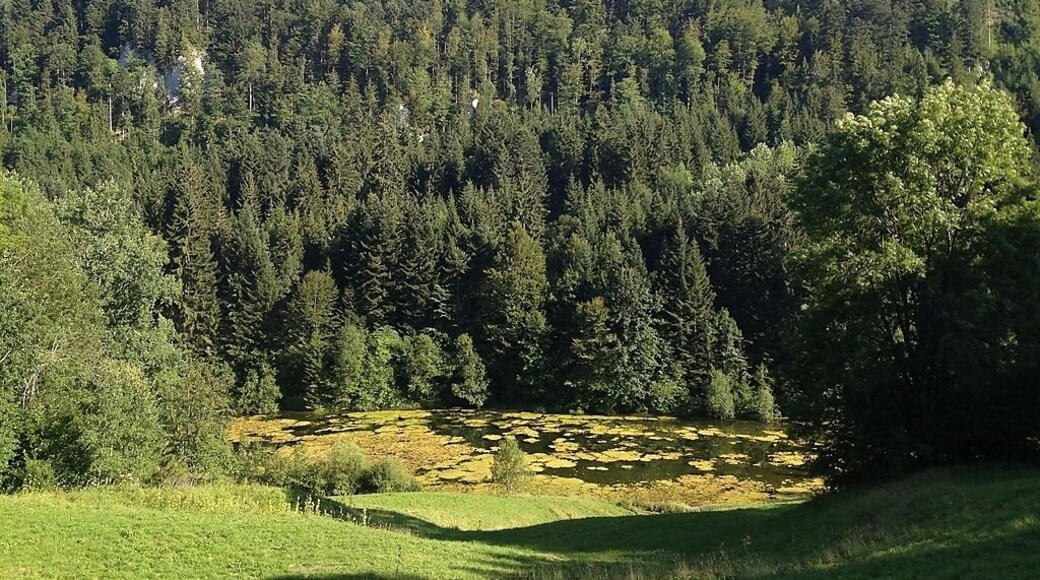 Etang de Bollement im Kanton Jura