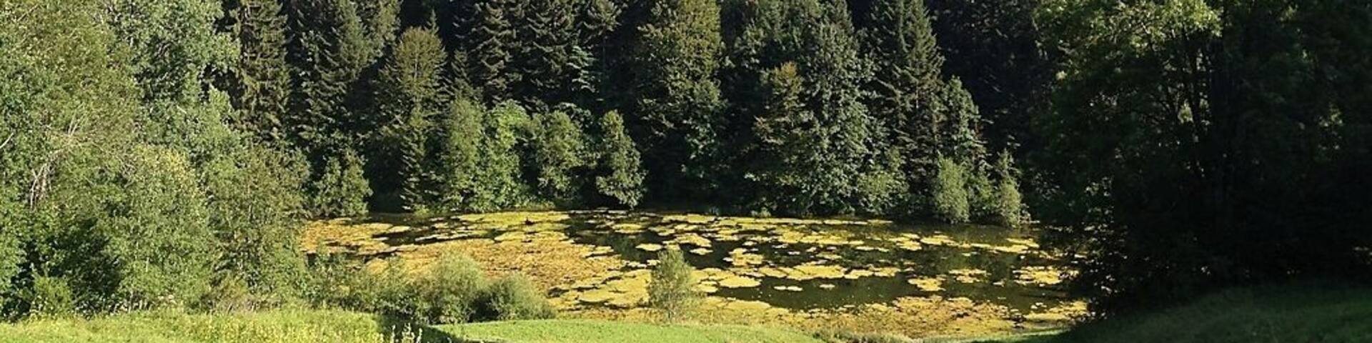 Etang de Bollement im Kanton Jura