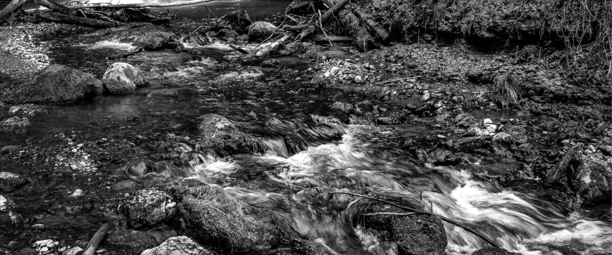 A waterfall cascading over rocks in a forested area.