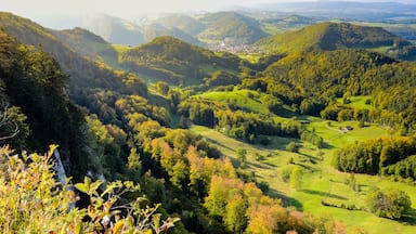 Blick Richtung Baselland von der Belchenflue, Schweiz