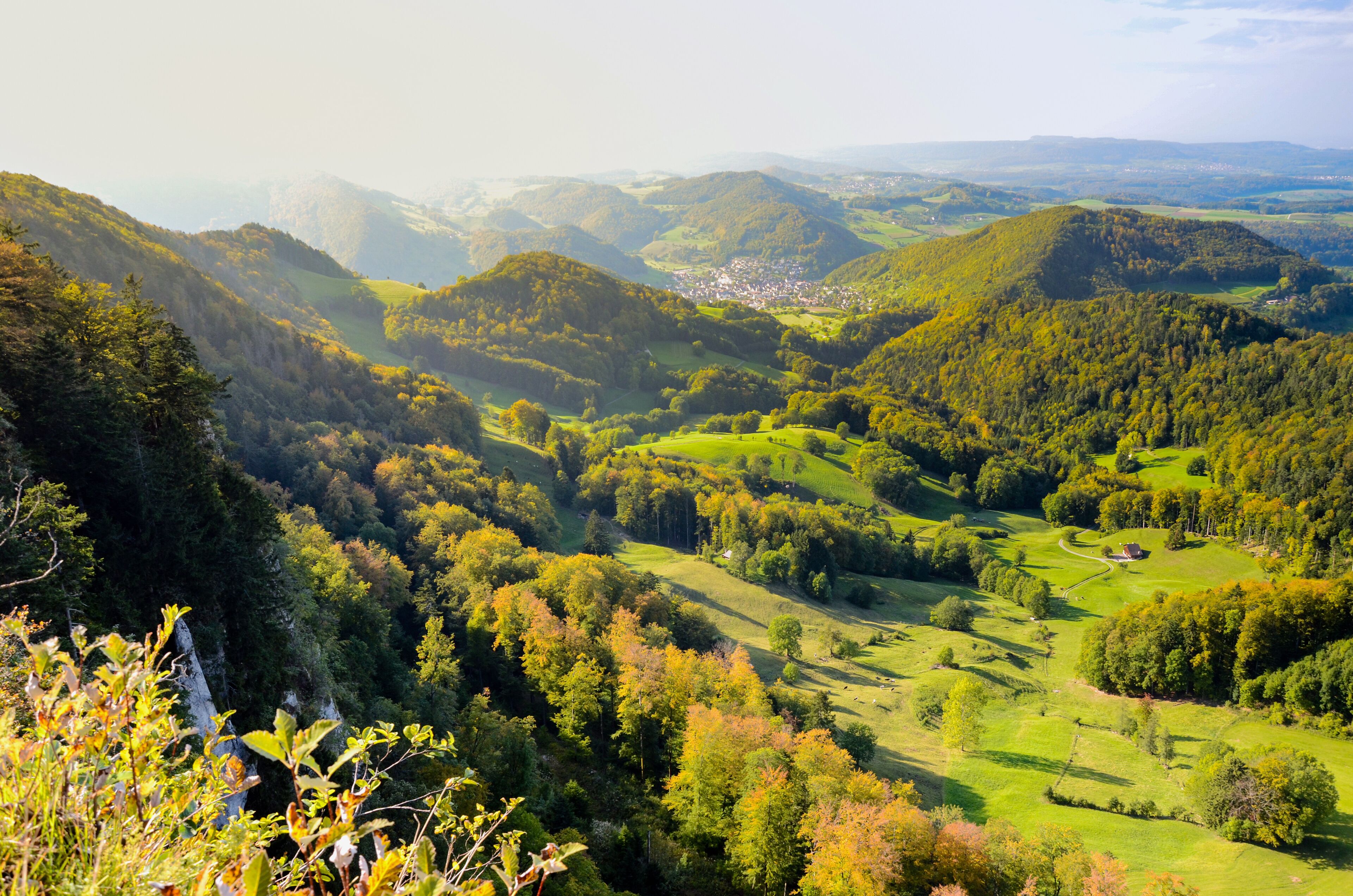 A valley with rolling hills, dense forests, and a distant town.