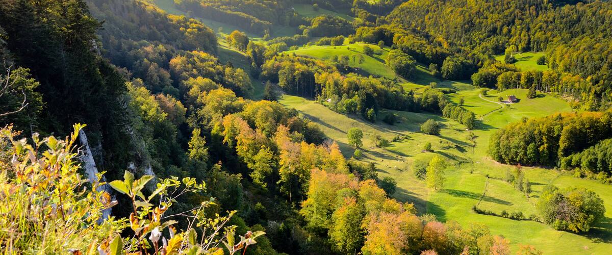A valley with rolling hills, dense forests, and a distant town.