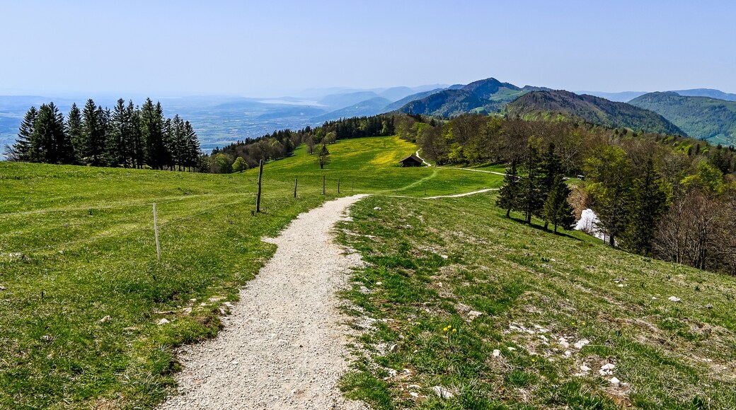 Weissenstein, Hausberg, Aussichtspunkt, Wanderweg, Röti, Hasenmatt, Mittelland, Jura, Kalkfelsen, Aare, Fluss, Landwirtschaft, Bergwiese, Bielersee, Frühling, Solothurn, Schweiz