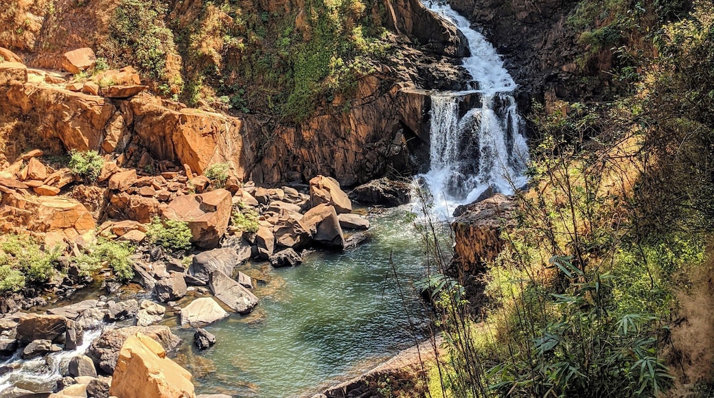 Burude means skull in Kannada(the local language). I am not sure why this falls gets the name. It is hidden in the mountains of the western and requires a steep hike to get there.
#burudefalls #hiddengem #karnataka #westernghats #waterfall #india #adventure #hiking