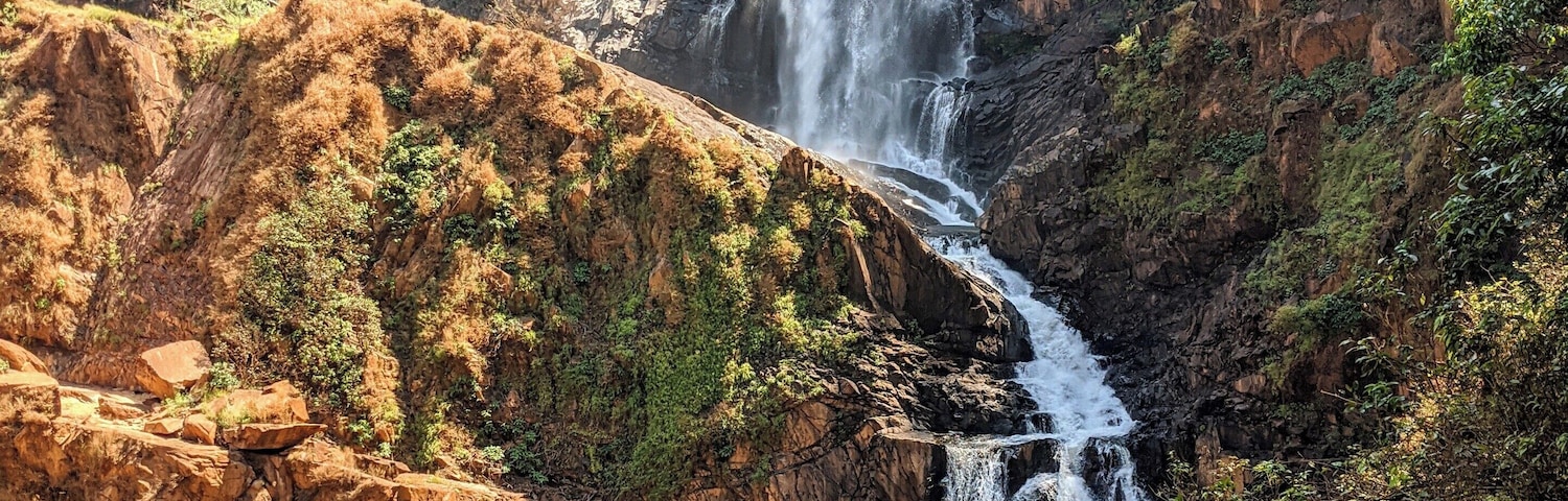 Burude means skull in Kannada(the local language). I am not sure why this falls gets the name. It is hidden in the mountains of the western and requires a steep hike to get there.
#burudefalls #hiddengem #karnataka #westernghats #waterfall #india #adventure #hiking