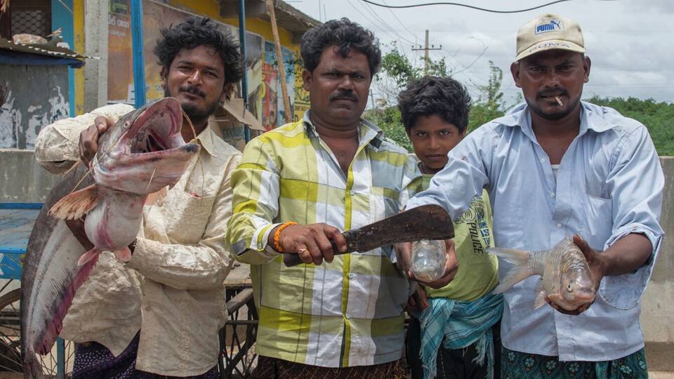 Four men holding fish, standing in front of a building with a blue and yellow facade.