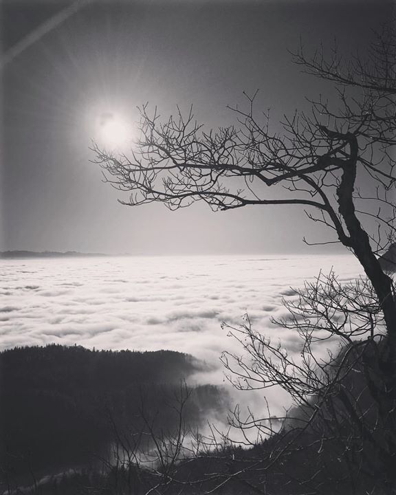 #herecomesthesun #egruessidsuppeabe