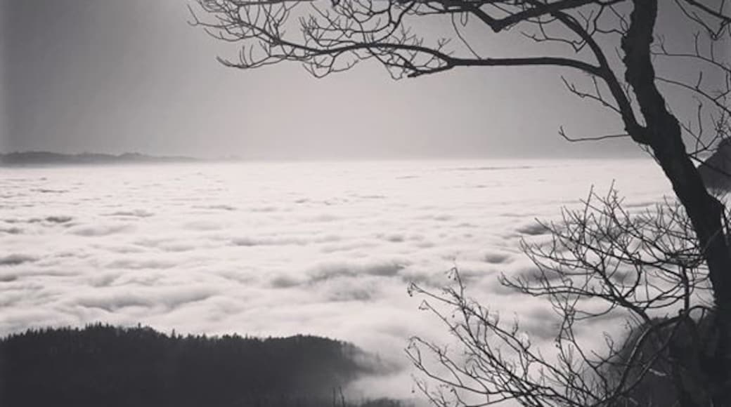 #herecomesthesun #egruessidsuppeabe