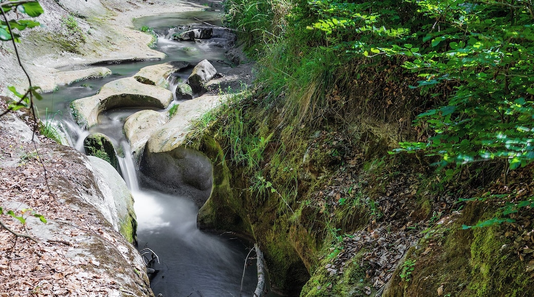 We discovered this small gorge in Attiswil through a walk, scale not comparable to the famous ones we know, but it still remains charming to the eyes.