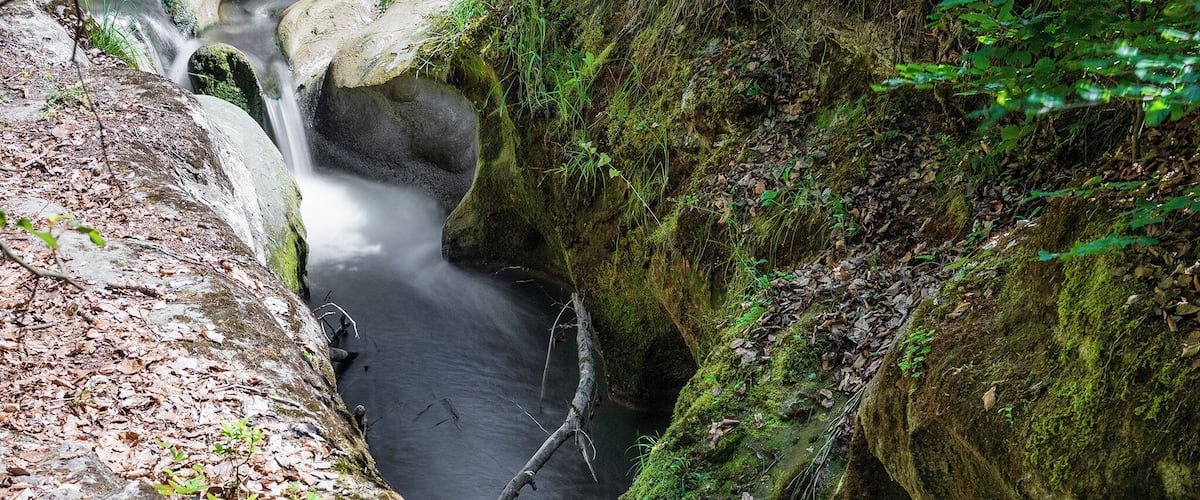 A stream flowing through a rocky landscape with moss-covered rocks and dense green foliage.