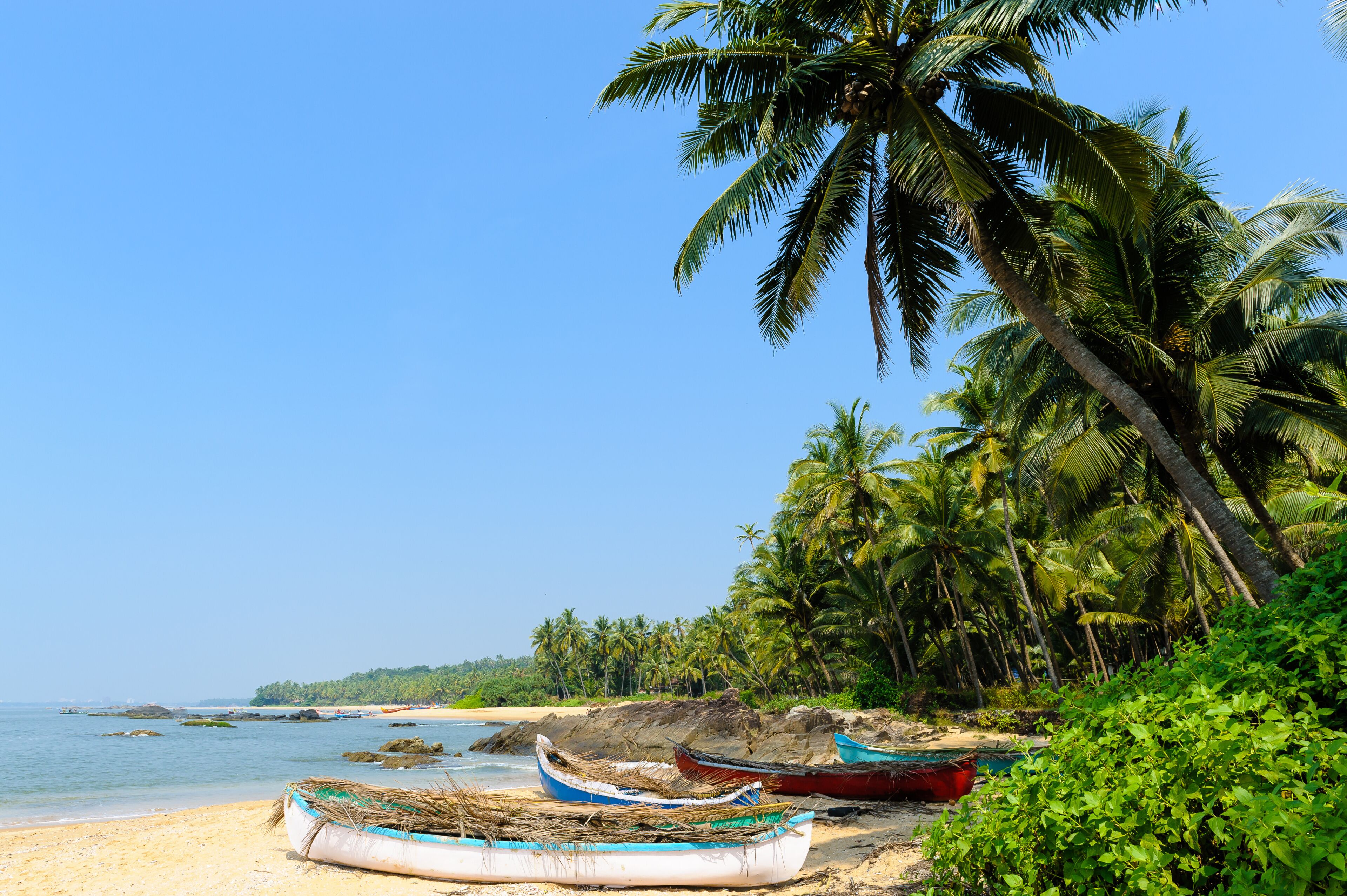 A beach with boats, palm trees, and a clear sky.